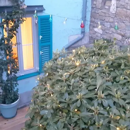 Apartment Little Garden *