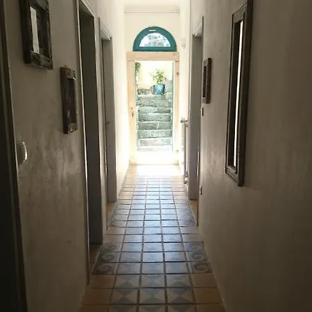 Apartment Little Garden Piran
