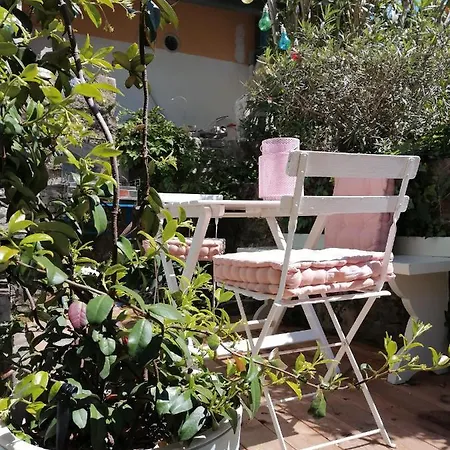 Little Garden *