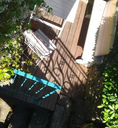 Little Garden