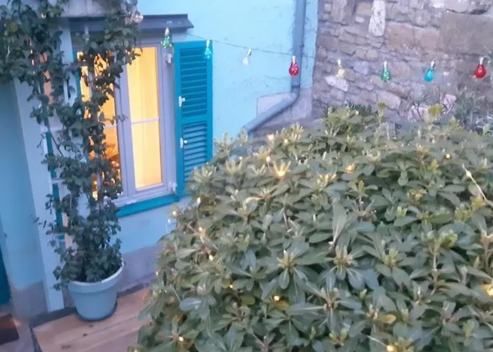 Apartamento Little Garden *